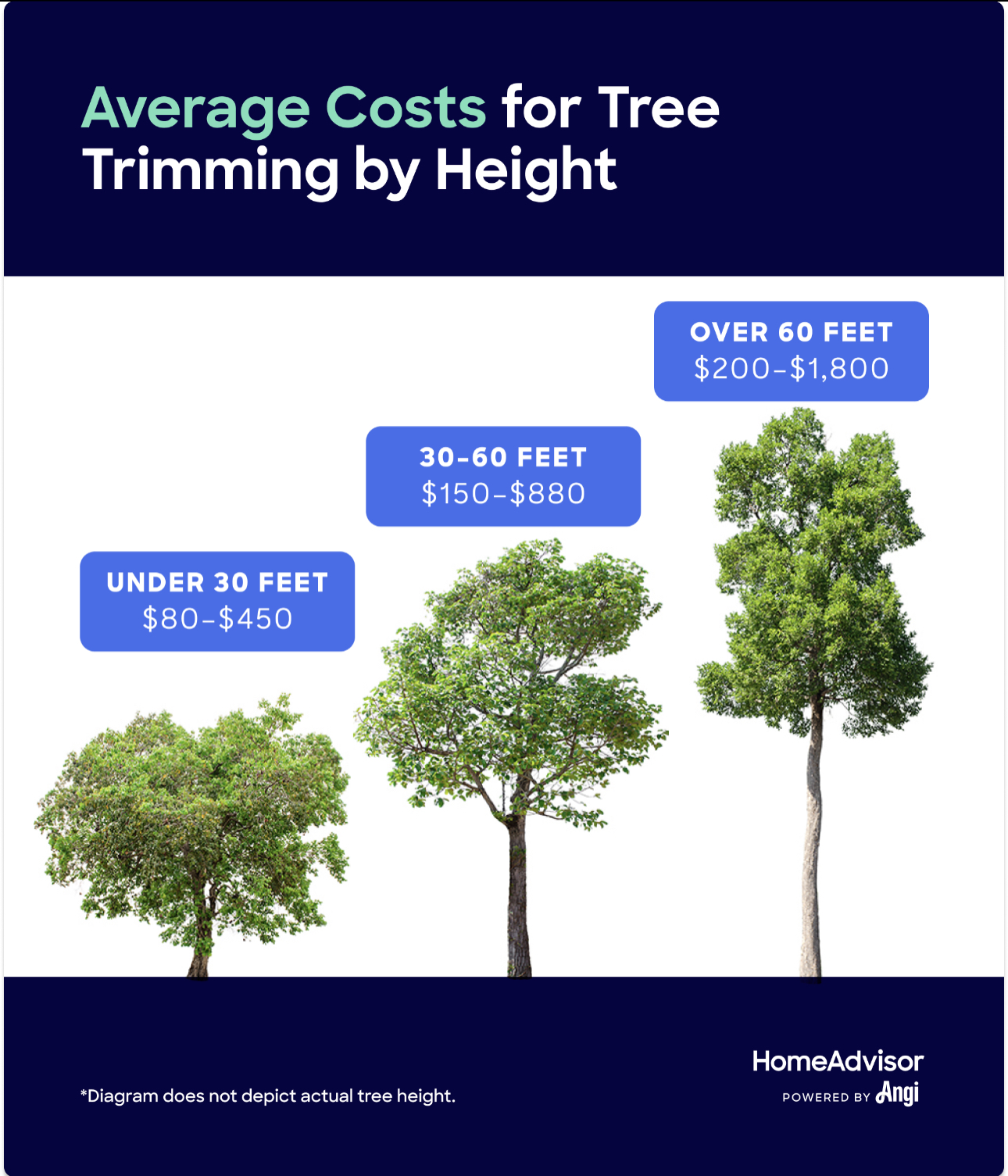 Tree services and their costs vary depending on the height of the tree. For instance, the average cost to remove a small tree under 30 feet tall ranges from $150 to $500, while medium trees between 30 to 60 feet may cost between $300 to $1,000. Large trees from 60 to 80 feet tall can cost between $650 to $2,000 to remove, and extra-large trees over 80 feet tall may range from $1,200 to $2,700. Additionally, fallen tree removal costs average from $100 to $600, and dead tree removal ranges from $800 to $1,600.