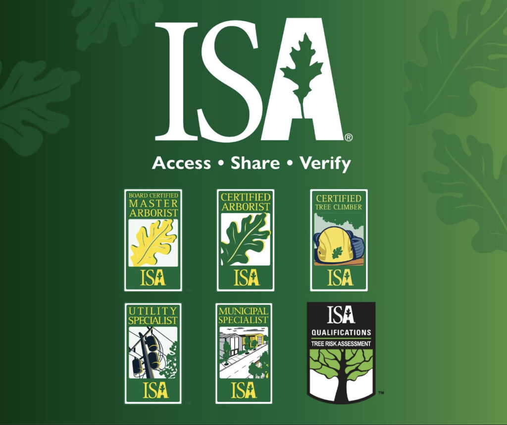 Certified Arborists for Tree Care in Manassas