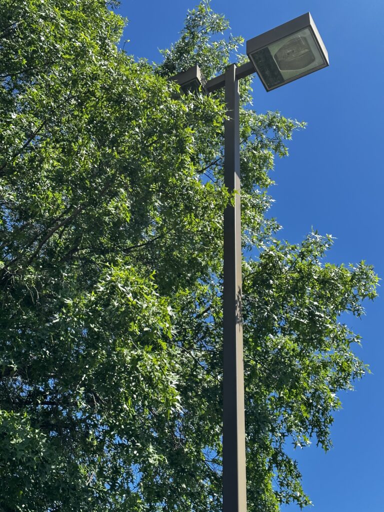 Light Pole Clearance - Proper Tree Care in Manassas, VA