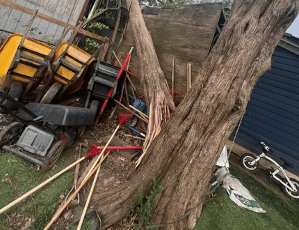 Emergency Storm Cleanup