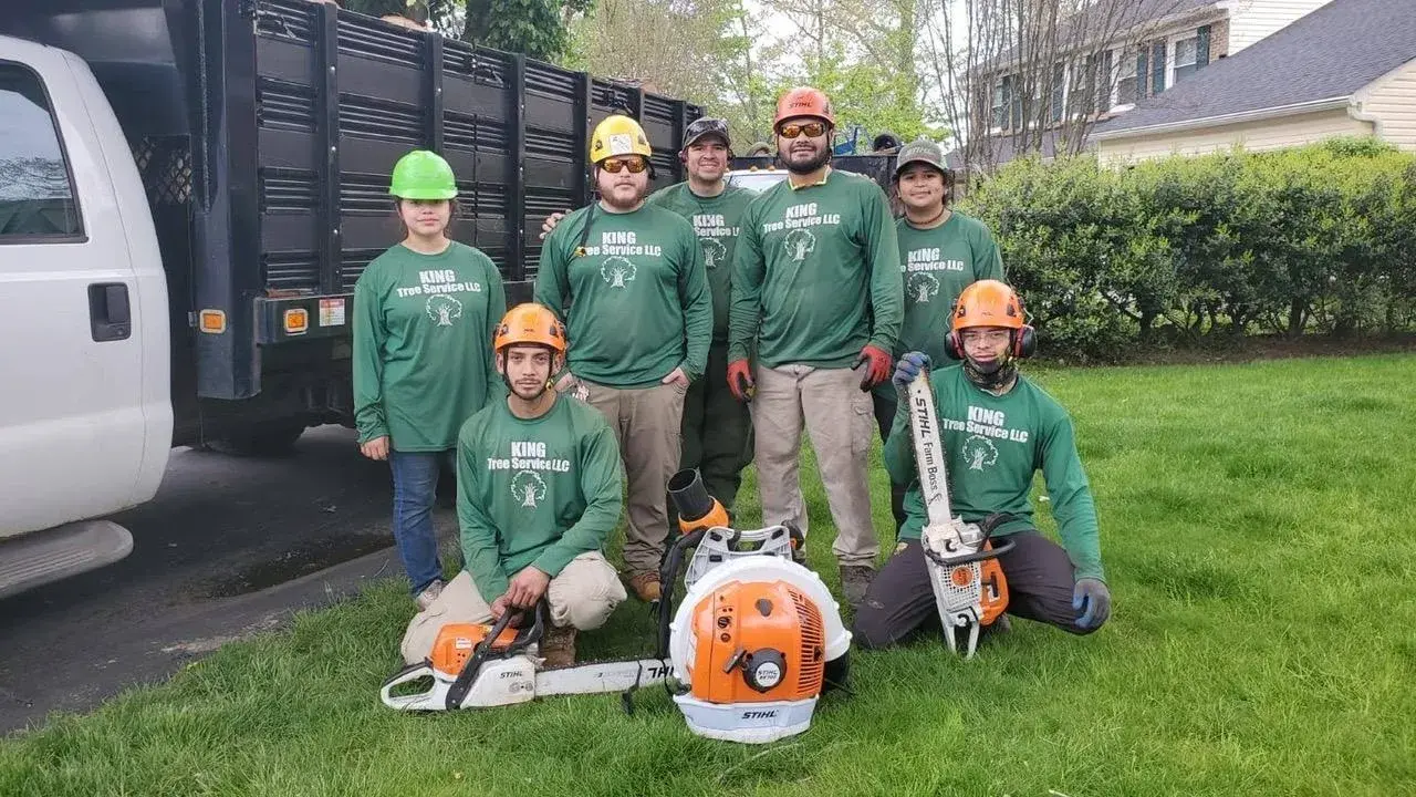 King Tree Services Crew