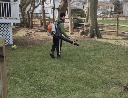 Land & Property Clearing