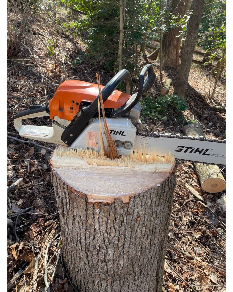 Precision Tree Removal