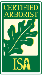 ISA certified arborist