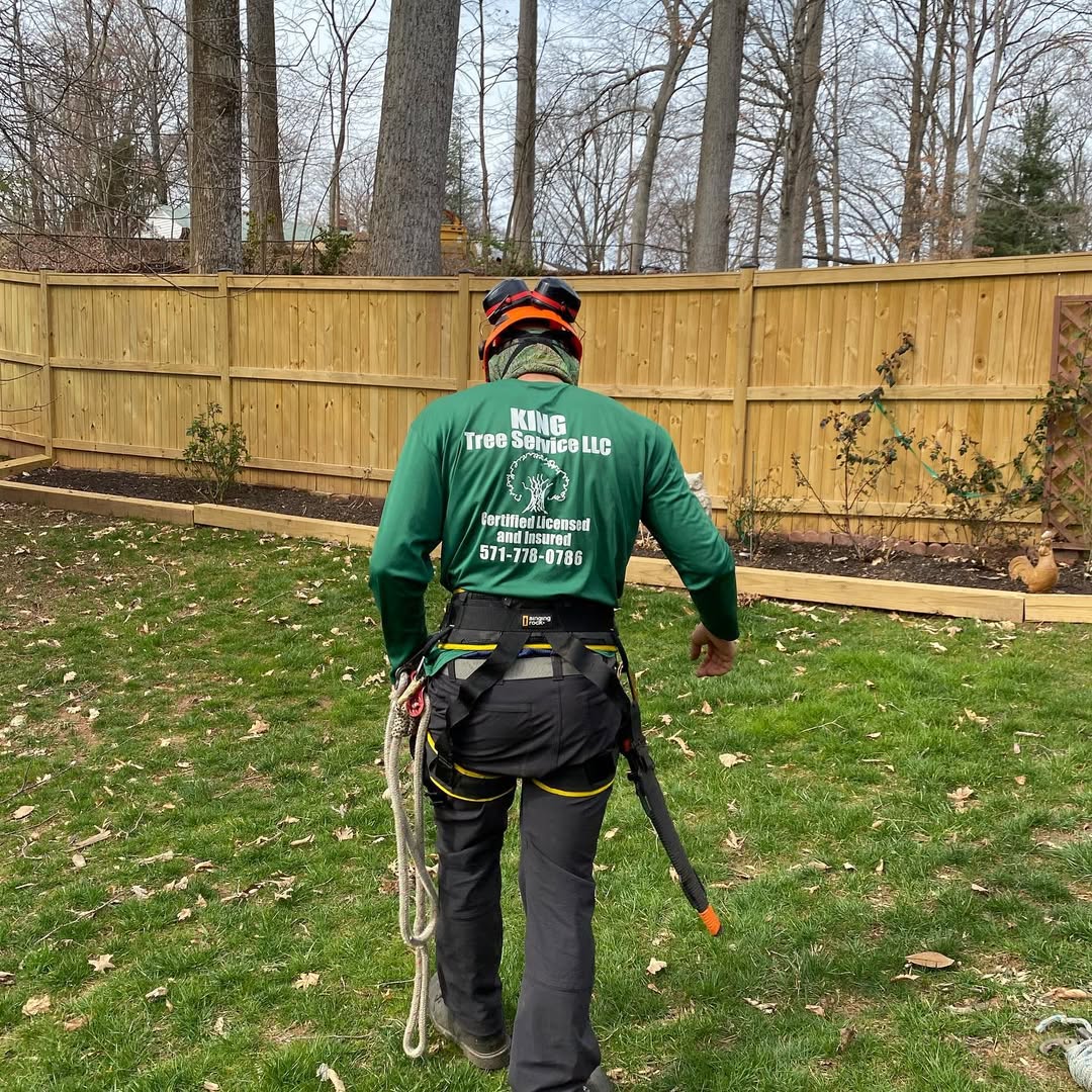 Certified arborist from King Tree Services in Manassas, VA preparing for tree work in a residential backyard