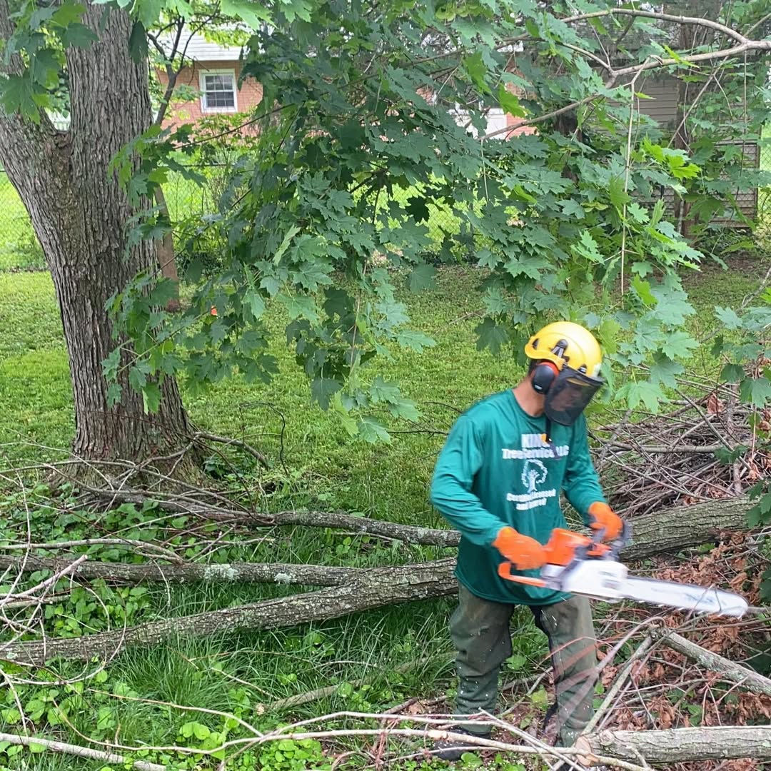 Tree service expert performing emergency storm cleanup with chainsaw in Manassas, VA