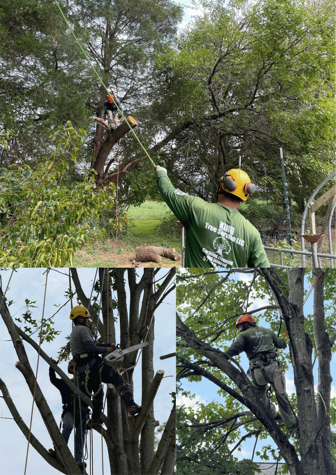 tree service in triangle, va