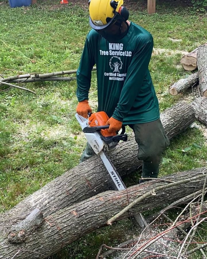 Professional tree removal service using chainsaw
