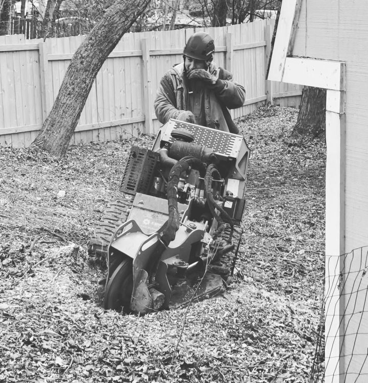 tree removal equipment manassas va Worker using a stump grinder to remove a tree stump in a backyard in Manassas, VA